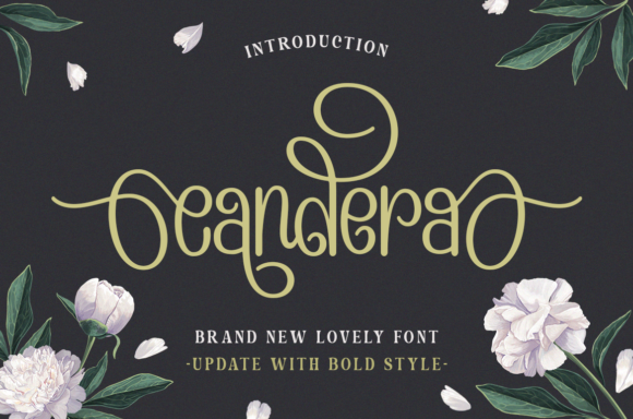Evaluating Candera for Display Typography Needs