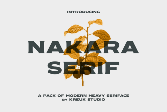 Nakara Serif: The Bold Display Font That Transforms Your Design