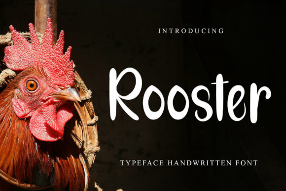 Rooster Font Review: When to Use This Playful Display Type